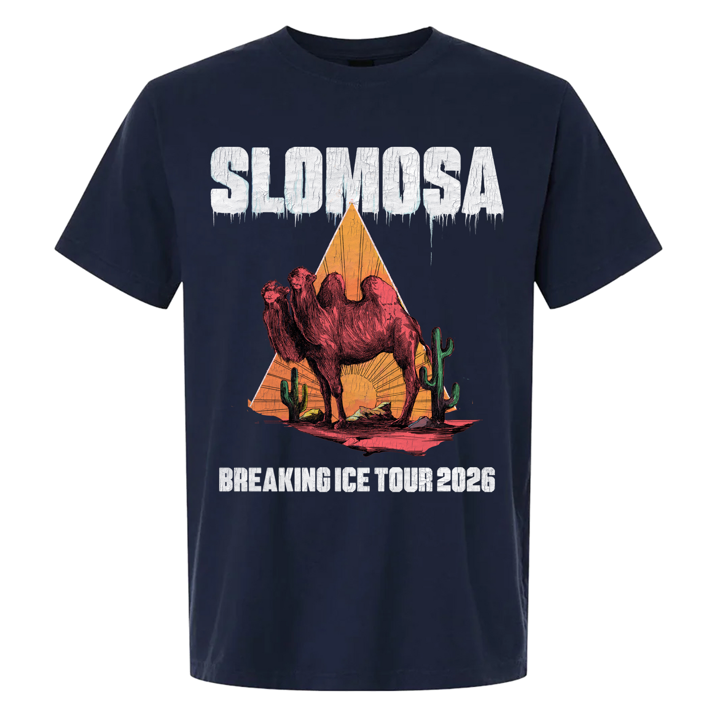 Breaking Ice Tour Tee