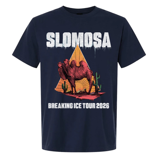 Breaking Ice Tour Tee